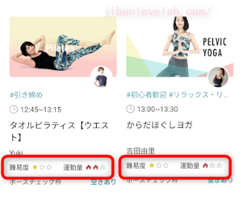 SOELU(ソエル)レッスンの難易度と運動量の画像