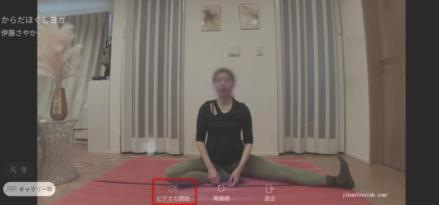 SOELU(ソエル)ギャラリー枠でビデオオンにするボタン