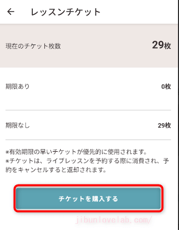 SOELU(ソエル)チケット購入の画像